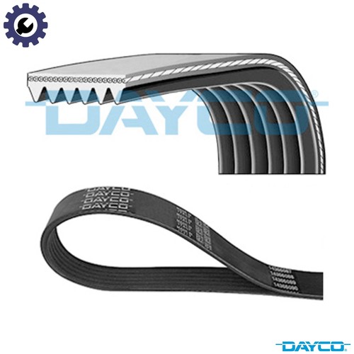 Vribbed belt 6pk2063 for - belt,