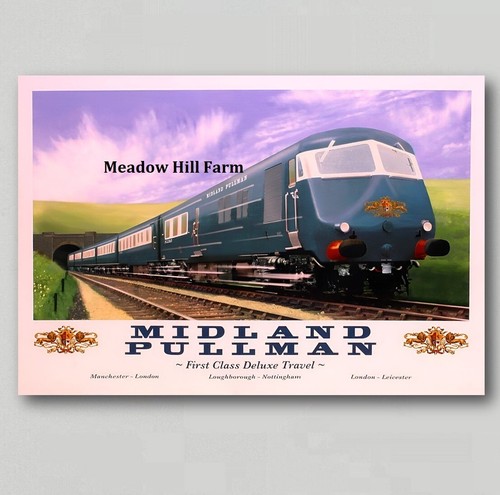 Fridge magnet class - magnet,