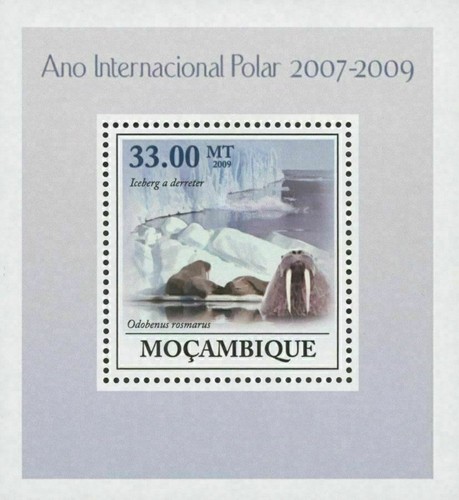 First international polar year - first,