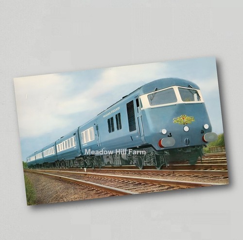 Fridge magnet class 251 - fridge,